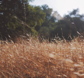开云体育苹果版下载-中国足球联赛竞争白热化继续，胜败皆可能！