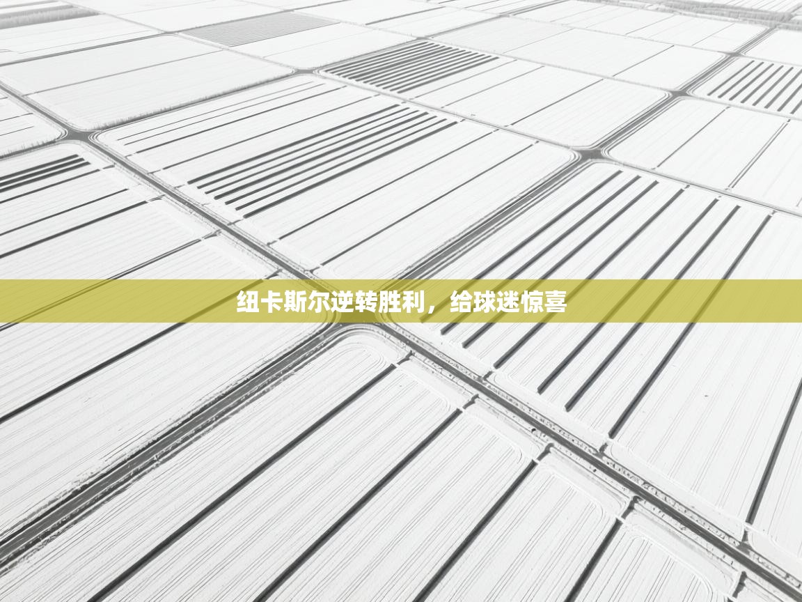 开云数据-纽卡斯尔逆转胜利，给球迷惊喜