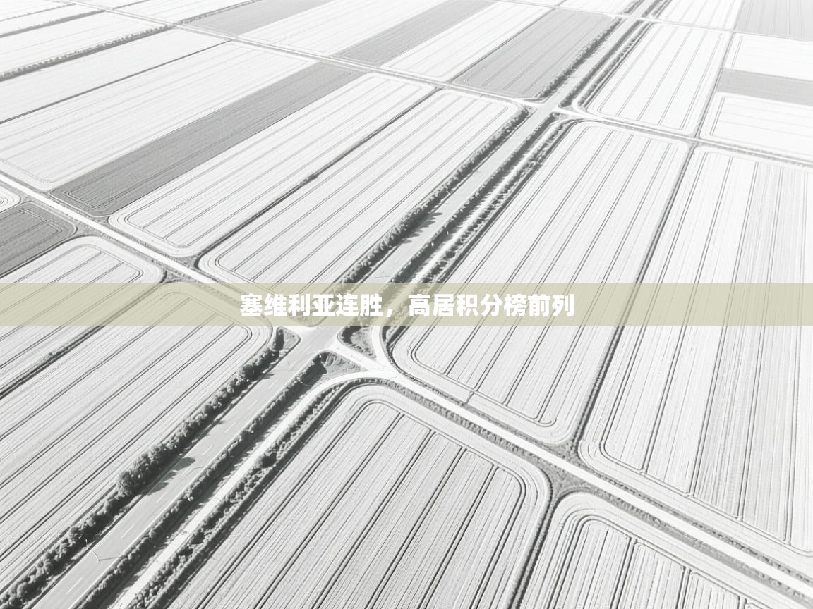 kaiyun开运·体育官方网站-塞维利亚连胜,高居积分榜前列 第3张