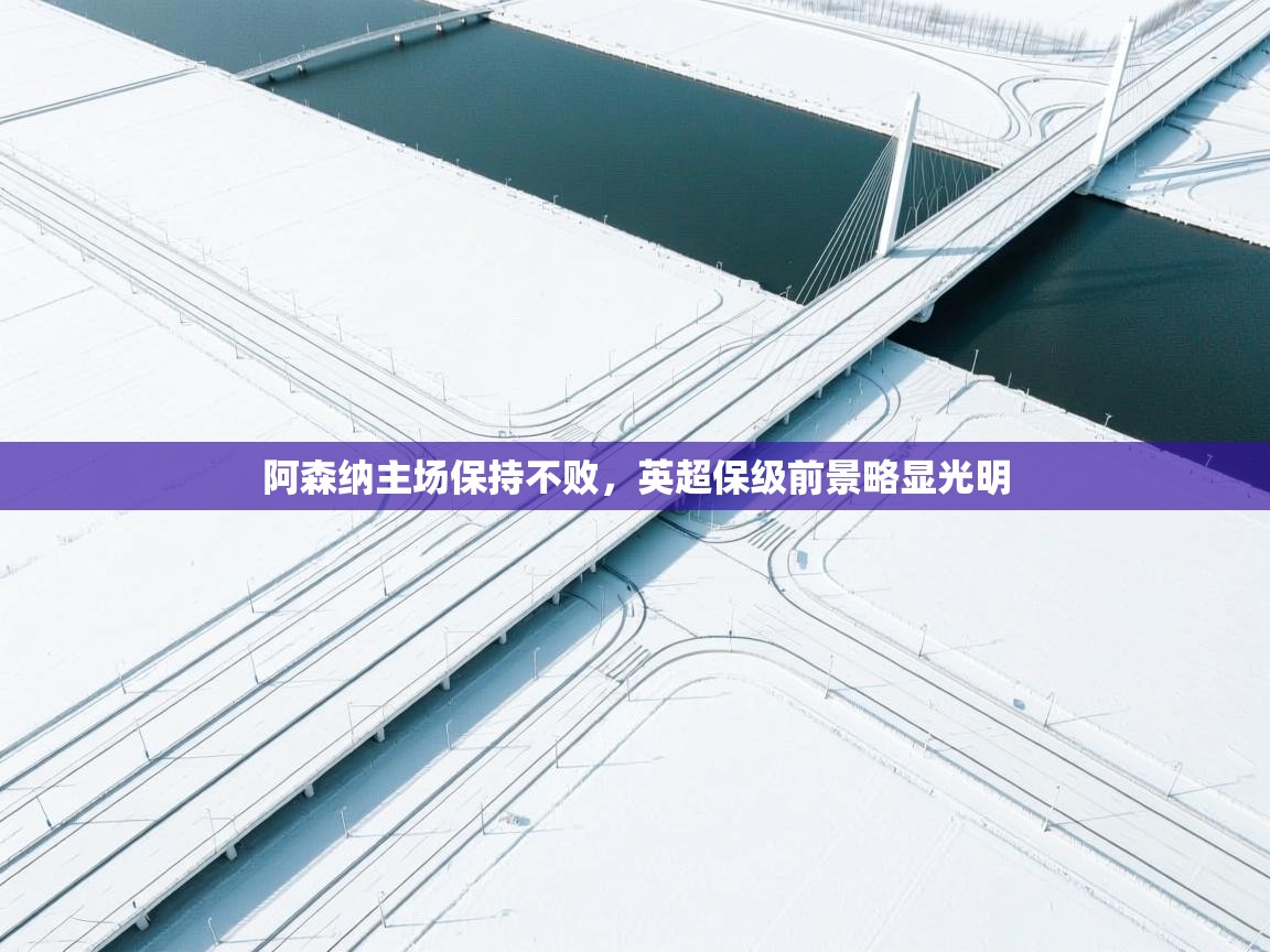 开云体育在线观看-阿森纳主场保持不败，英超保级前景略显光明