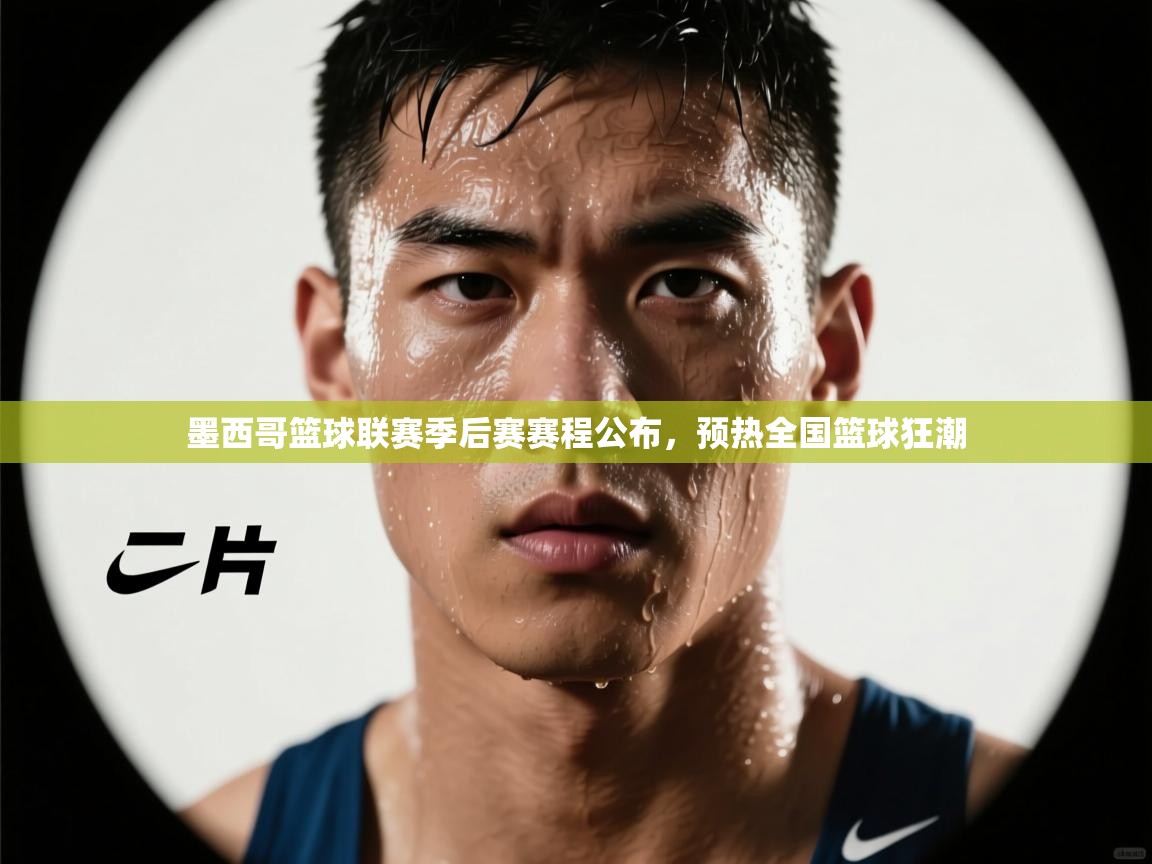 开云体育直播平台-墨西哥篮球联赛季后赛赛程公布,预热全国篮球狂潮 第3张