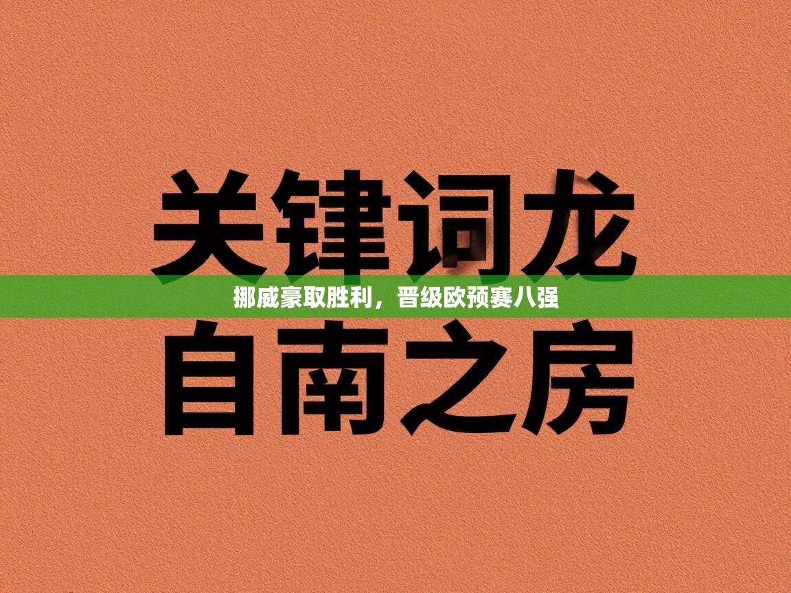 云开体育入口-挪威豪取胜利，晋级欧预赛八强  第2张